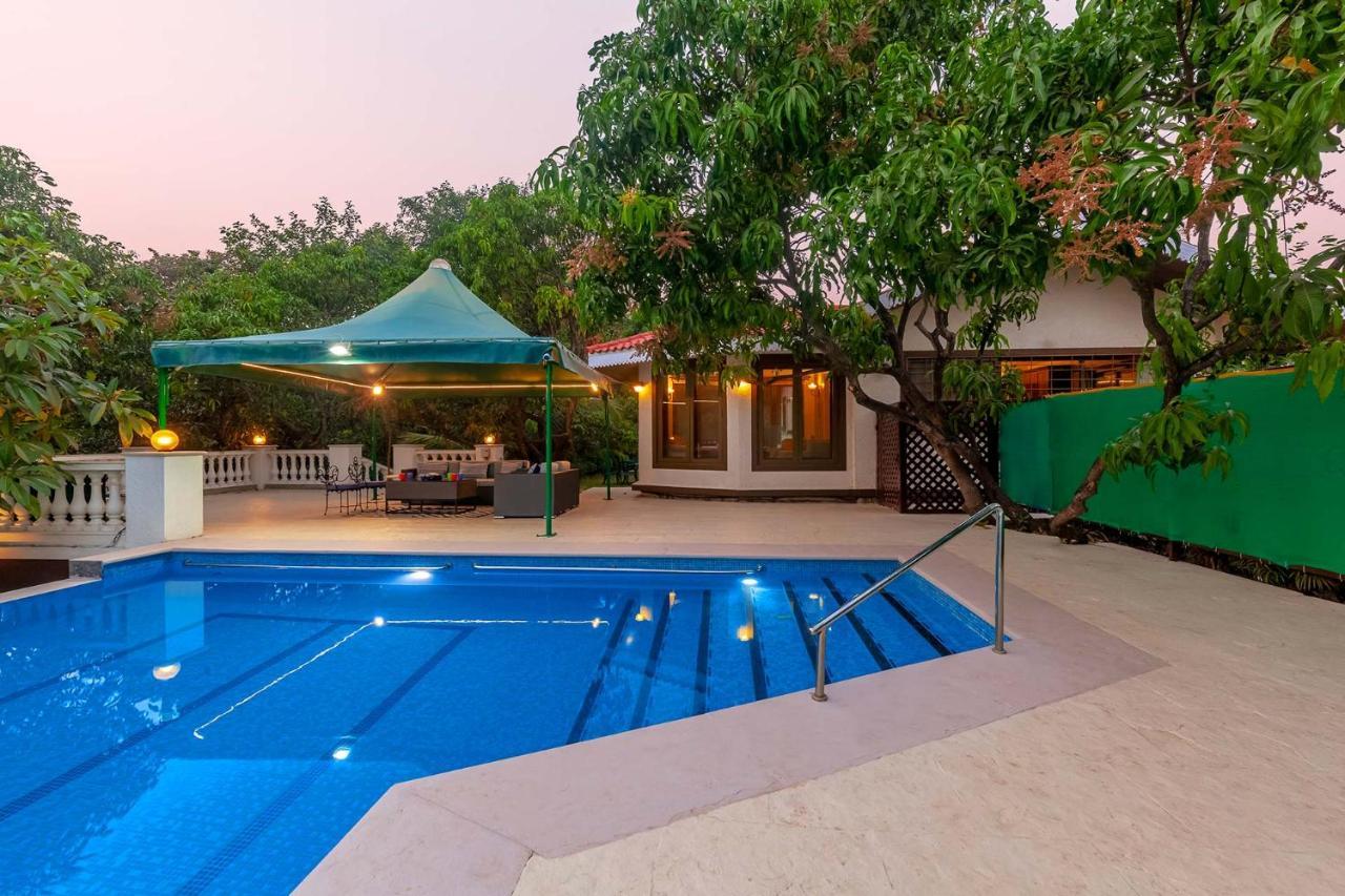 Stayvista'S Casa Palmera - Pet-Friendly Villa With Pool, Garden With Gazebo, And Indoor & Outdoor Games Alibaug Esterno foto